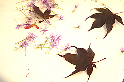 HEATHER CHRISTO BOOK LAUNCH